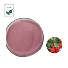 100% Pure Dried Strawberry Powder